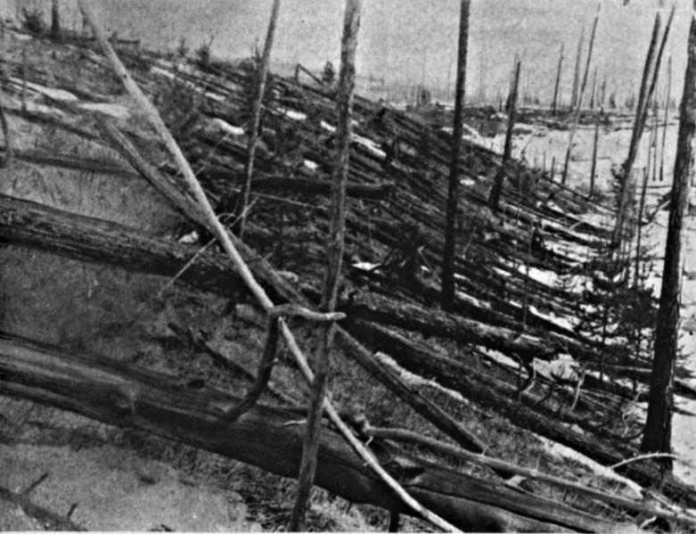 Trees leveled by Tunguska Impact