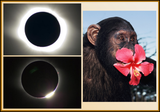 Uganda Eclipse Tour