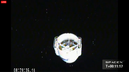 Dragon in free drift