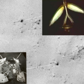 Mars 3 hardware on the Martian surface?