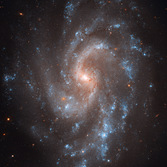 Galaxy NGC 5584 from Hubble WFC3