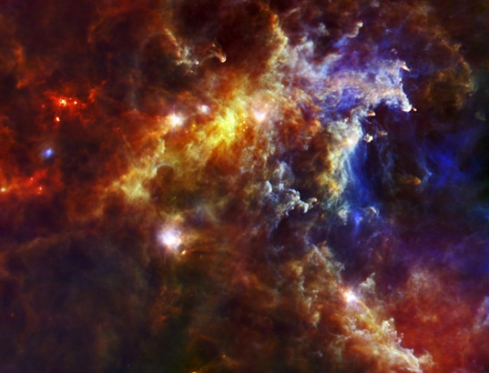 Baby stars in the Rosette Nebula