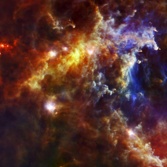 Baby stars in the Rosette Nebula