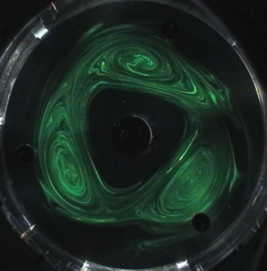 Three eddies surrounding a pole