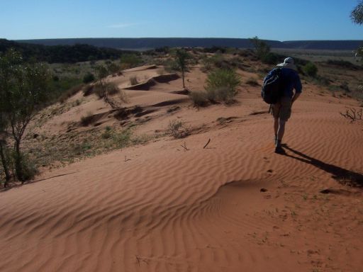Australia's linear dunes