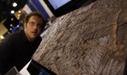 Ted Stryk over Europa