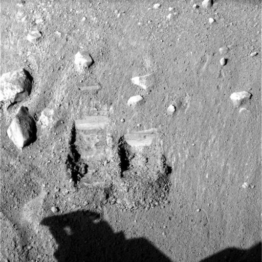 Dodo and Baby Bear trenches, Phoenix sol 11