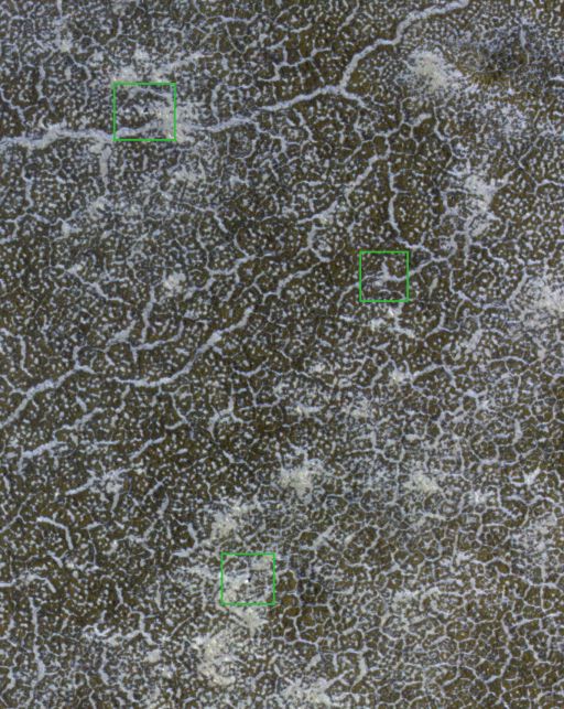 Phoenix landing site monitoring from HiRISE: January 6, 2010