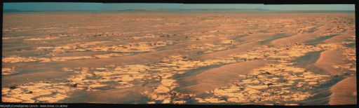 Opportunity's drive direction panorama, sol 2358 (September 11, 2010)