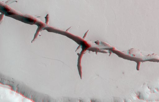 Closeup on a Cerberus fossa