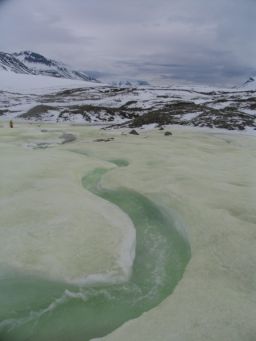 Sulfur spring at Borup Fiord Pass