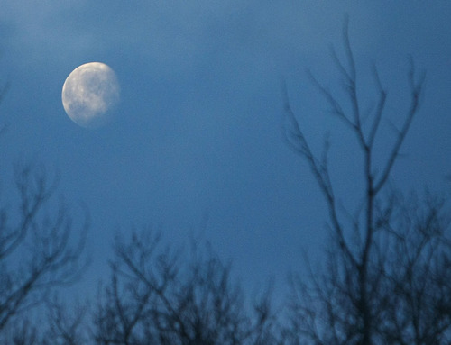 Waning gibbous moon