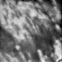 Complex bright-dark boundary on Titan