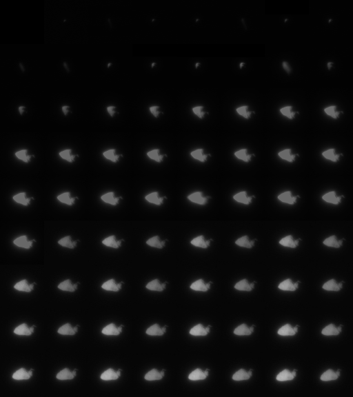 All of Stardust's images of Annefrank