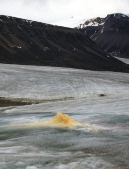 Cone of sulfur at a spring outlet, Borup Fiord Pass