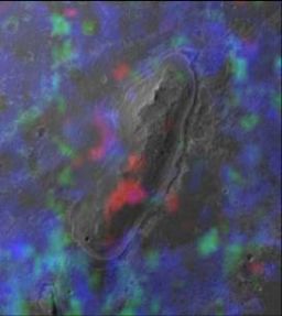 Mineral map of Endeavour's nearest rim