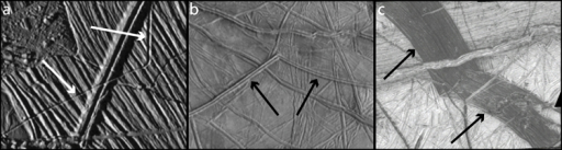 Examples of a trough, ridge, and band on Europa