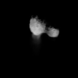 The nucleus of Halley's comet