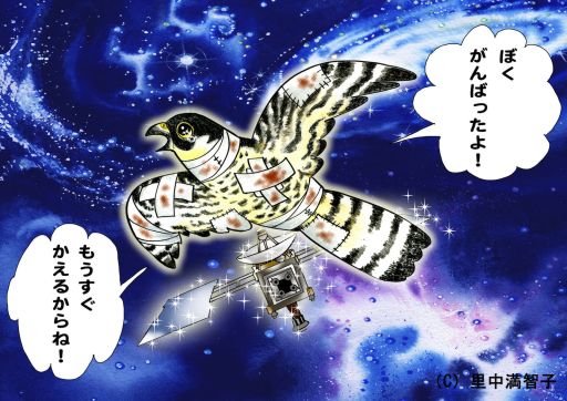 Hayabusa, peregrine falcon