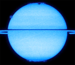 Saturn's aurorae