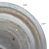 Polar projection of amateur images of Jupiter impact