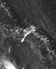Slope failure in 'Cobra Head'