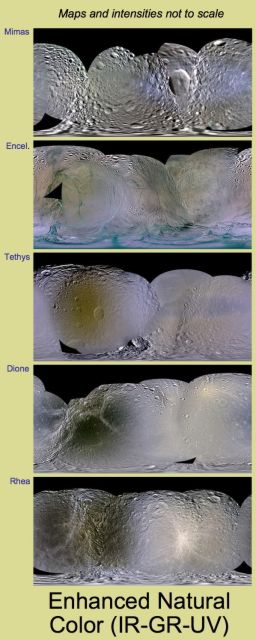 Colors of Saturn's mid-sized icy satellites