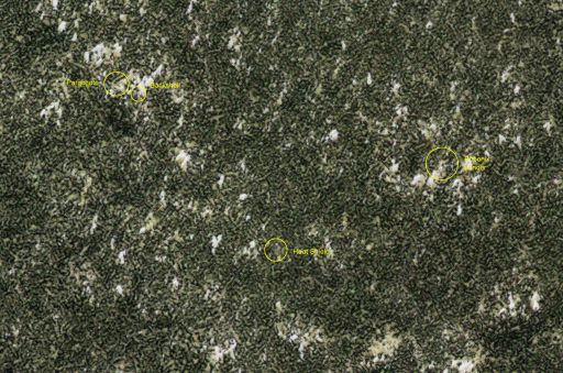 Phoenix landing site monitoring from HiRISE: July 30, 2009