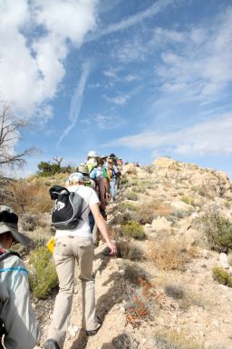 Uneven terrain on Meteor Crater's rim