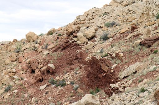 Fold hinge in Moenkopi Formation