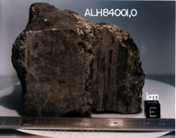 Mars meteorite ALH84001