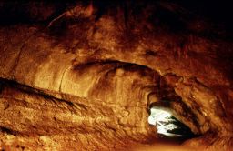 Thurston lava tube, Hawaii