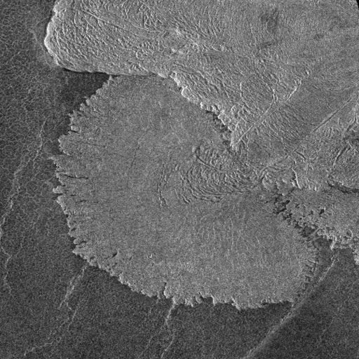 Lava fan, Venus