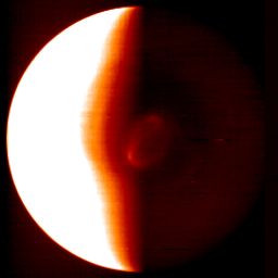 Venus' south pole