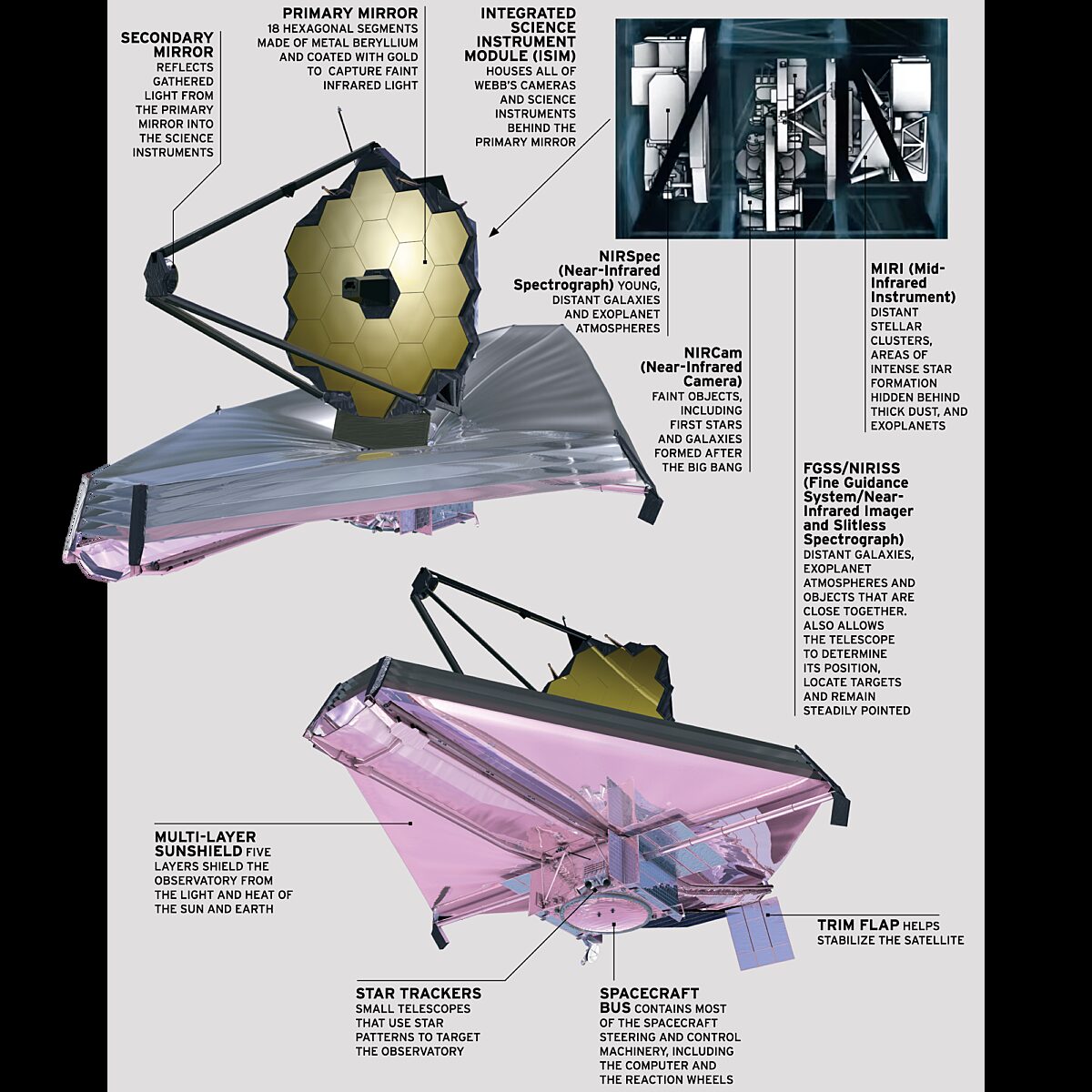 James Webb Space Telescope Structure