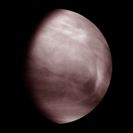 Venus' Middle Clouds