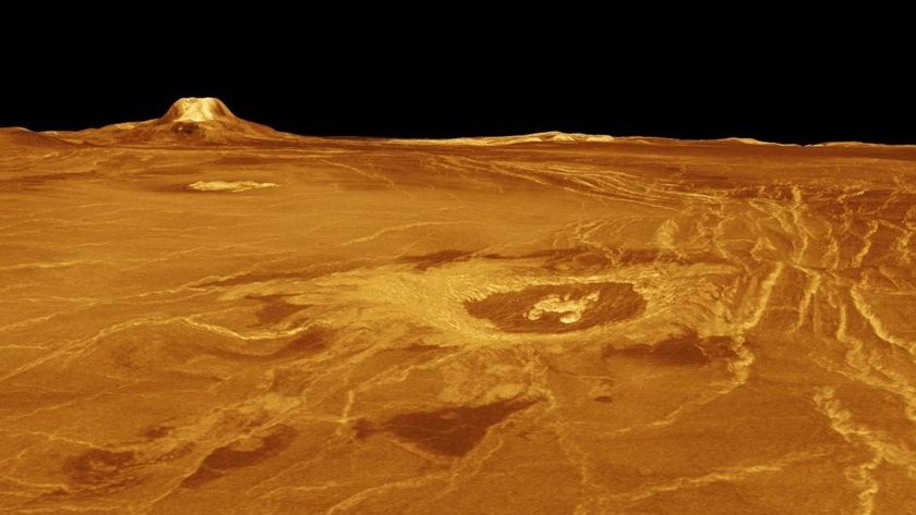 Venus's surface from radar data