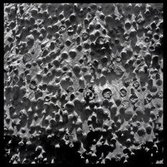 Opportunity Microscopic Imager mosaic, sol 3064: spherules