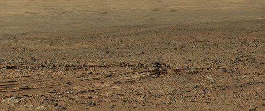 Curiosity Mastcam-100 panorama at Point Lake, sol 110