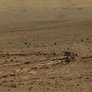 Curiosity Mastcam-100 panorama of Shaler from Point Lake, sol 110