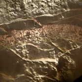 Texture in a rock seen by Chemcam on Curiosity sol 157