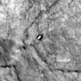 Curiosity on Mars from HiRISE, sol 145