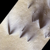 Seasonal fans pointing in multiple directions near Mars' south pole