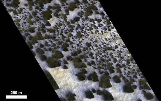 Many overlapping dust fans in the 