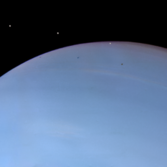 Despina eclipses and transits Neptune (Despina brightened)