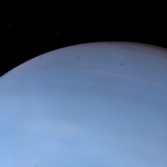 Despina eclipses and transits Neptune