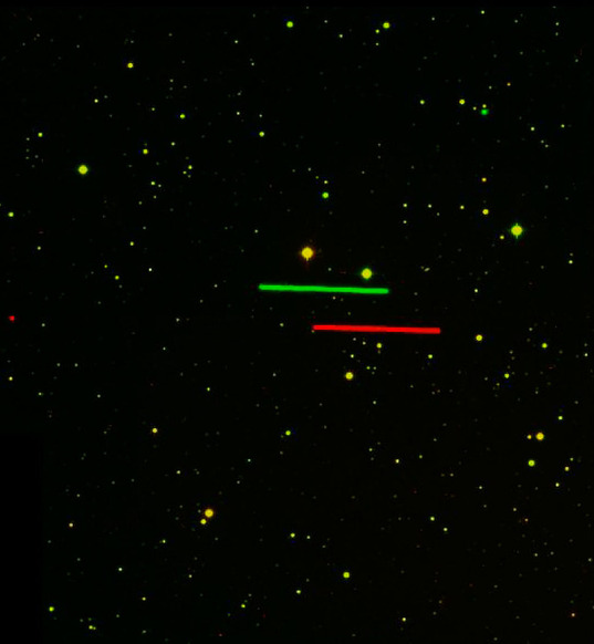 Asteroid 4179 Toutatis as seen simultaneously from Paranal and La Silla
