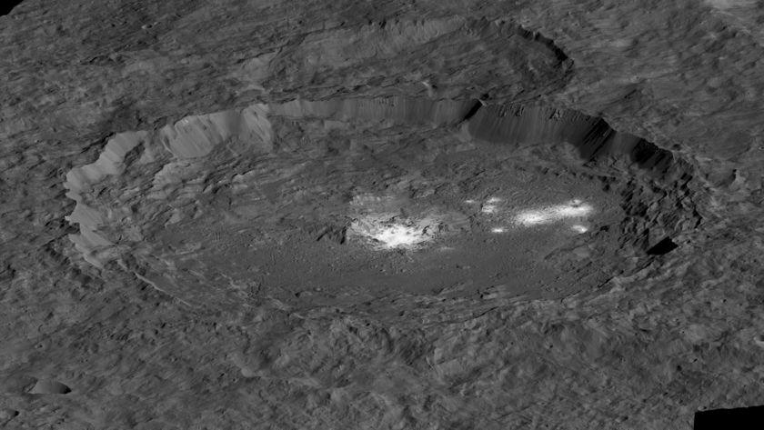   Crater Occator 