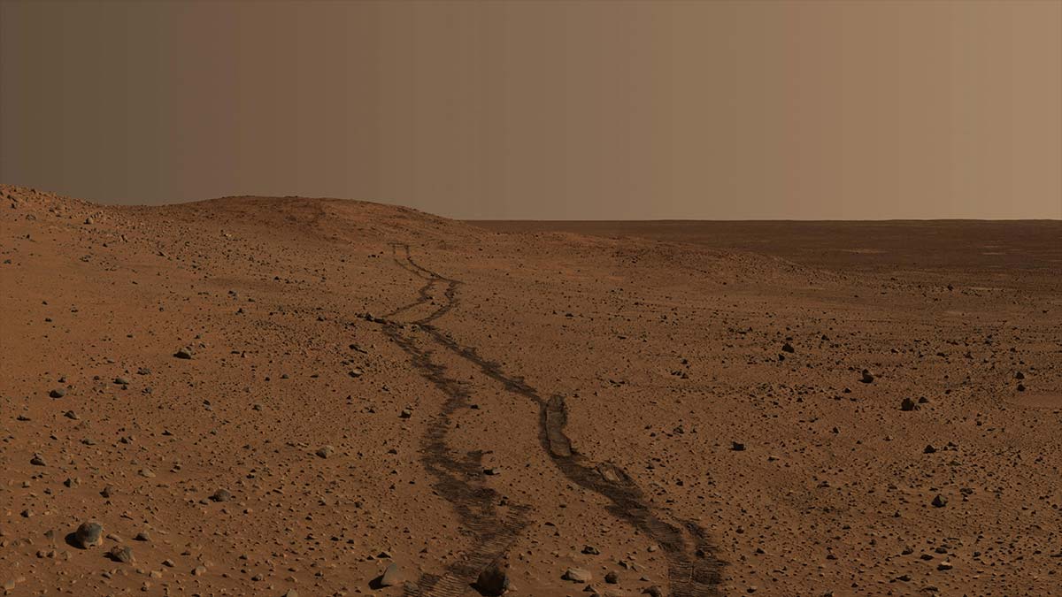 The Planetary Society