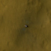 Curiosity as seen from HiRISE, 12 days after landing